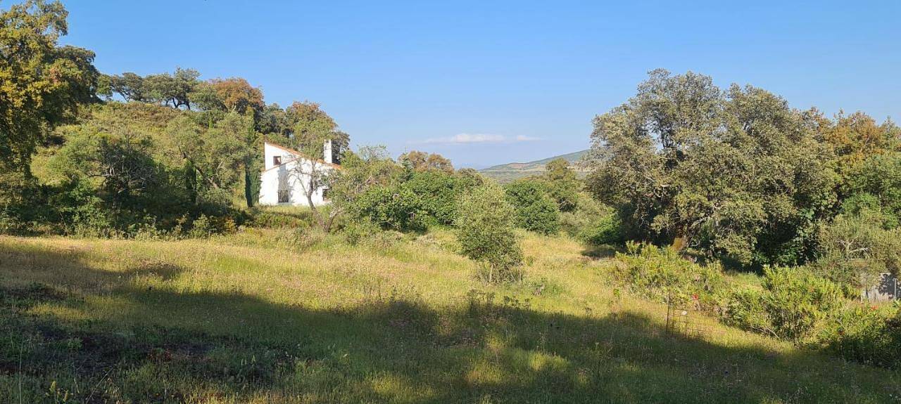Apartamento entero, Loft Rural La Era 1 in Aracena, Sierra de Aracena y Picos de Aroche