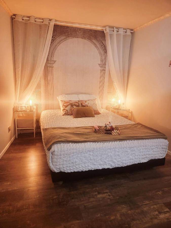 Appartement entier, L'Atelier Des Roses, Lunéville centre in Lunéville, Région de Lunéville