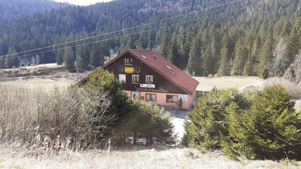 Double Room in La Bresse, Parc naturel régional des Ballons des Vosges