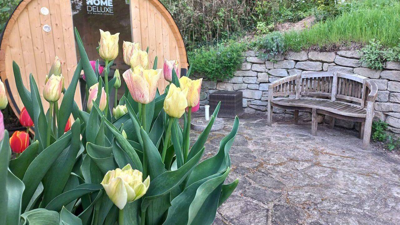 Ferienhaus für 4 Personen (95 m²) in Hartberg in Hartberg, Steirerland