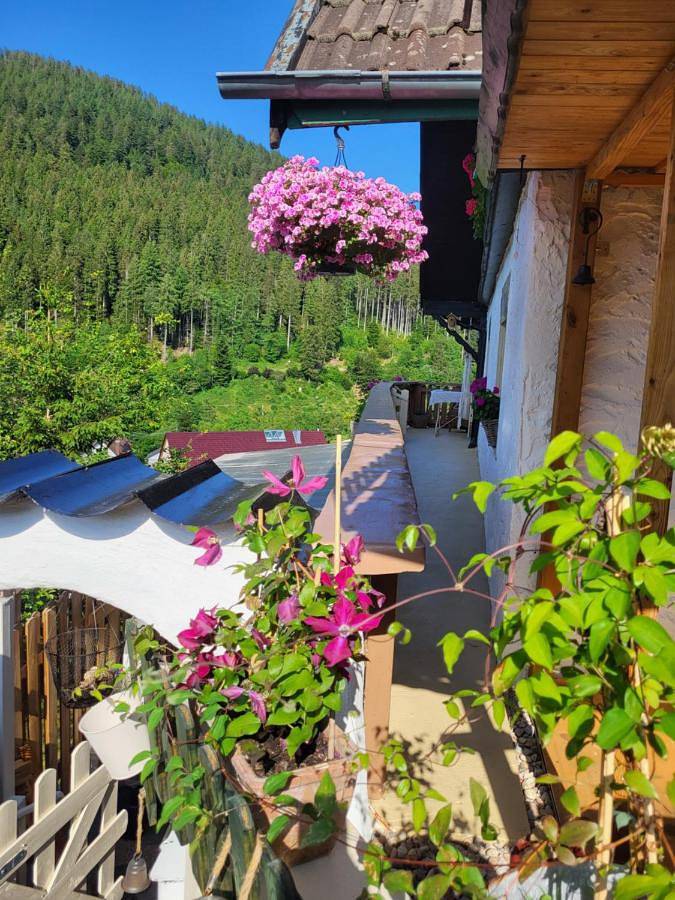 Ferienhaus für 4 Personen, mit Ausblick und Balkon, kinderfreundlich in Baiersbronn