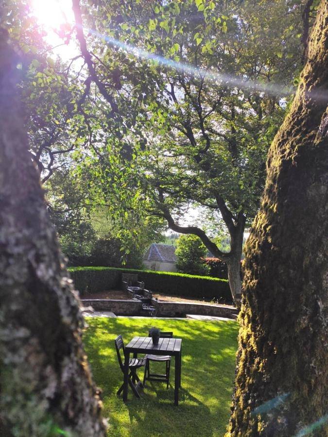 Chambre d’hôte pour 3 personnes, avec jardin et vue à Vielsalm - 4