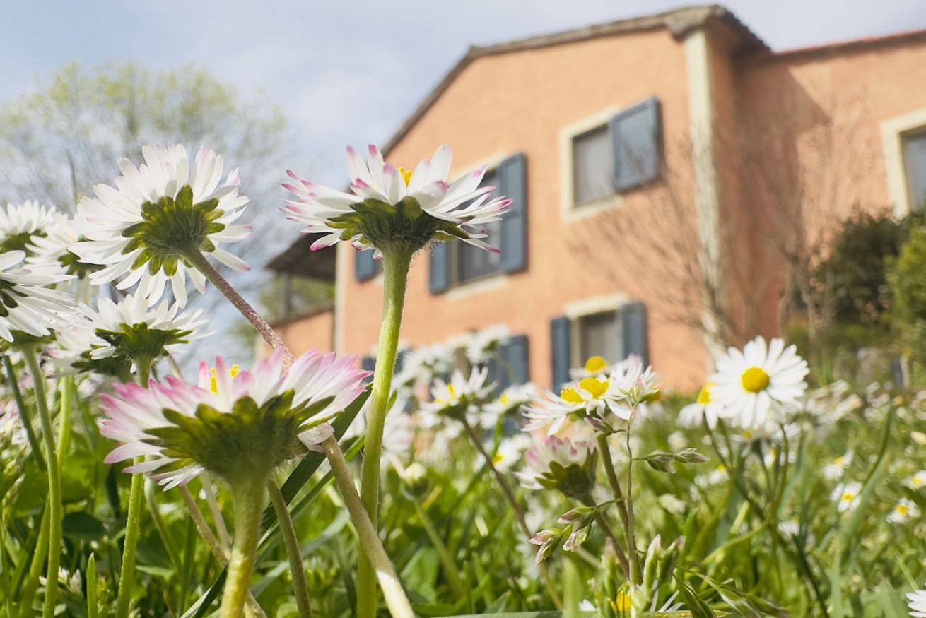 Villa la Fonte in San Casciano dei Bagni, Siena e dintorni