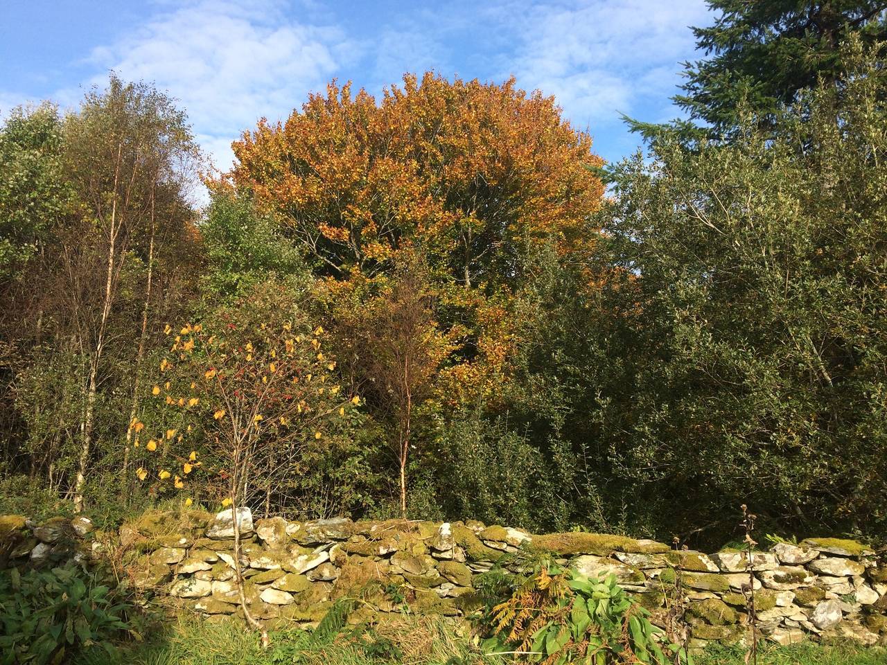 Sanctuary Apartment in County Mayo