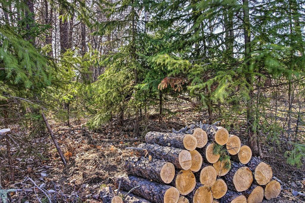 Breezy Point Cabin w/ Fire Pit - Walk to Lake in Breezy Point, Crow Wing County