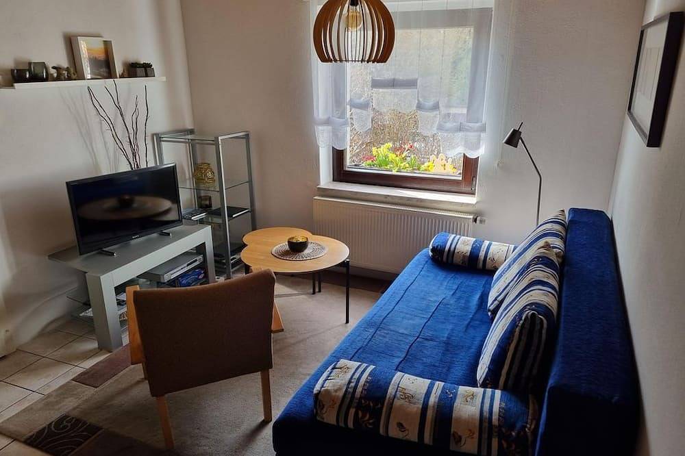 Ganze Wohnung, Ferienwohnung Drechsel - Appartement/Fewo, Dusche, Wc, 1 Schlafraum in Olbernhau, Erzgebirge