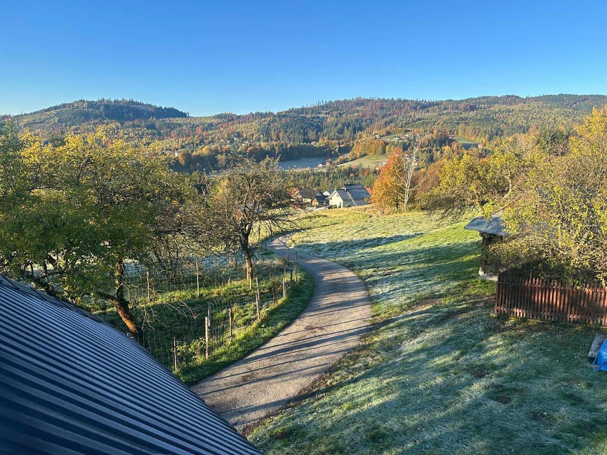 Koronkowa Chatka w Beskidach in Istebna, Karpaty (Polska)