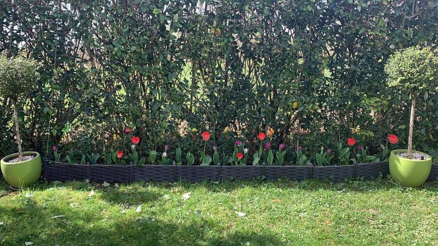 Gîte pour 2 personnes, avec jardin et vue à Baziège - 4