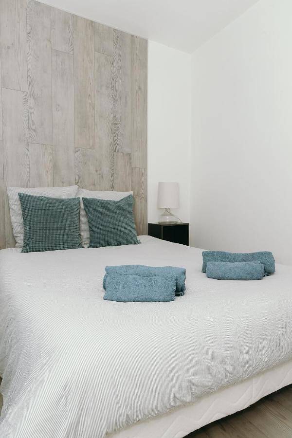 Appartement entier, Appartement La Petite Tonnelle - place St Pierre in Saumur, Vallée de la Loire