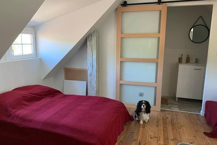 Location de vacances pour 10 personnes, avec jardin et terrasse, animaux acceptés à Azay-sur-Cher - 4