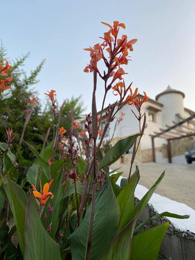 Villa Sunshine Countryside Resort in Frigiliana, Costa del Sol