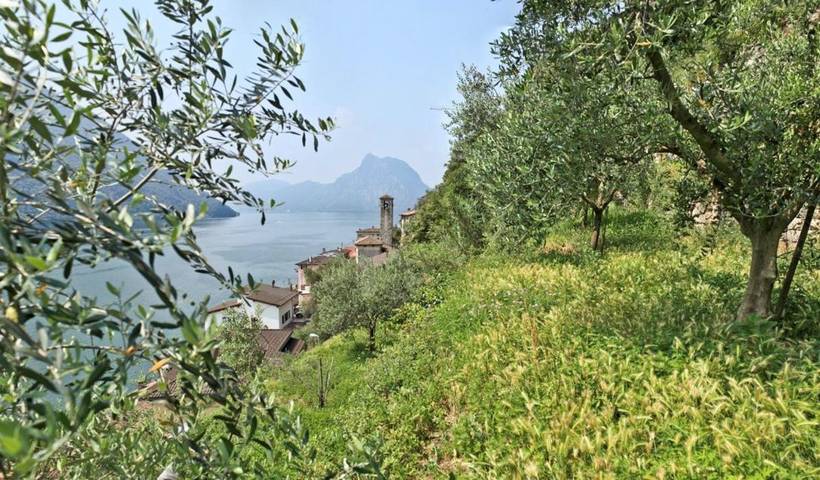 Ferienhaus für 3 Personen, mit Terrasse und Seeblick in Lugano - 3