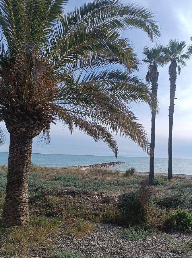 Holiday home for 2 people, with terrace and view - 1