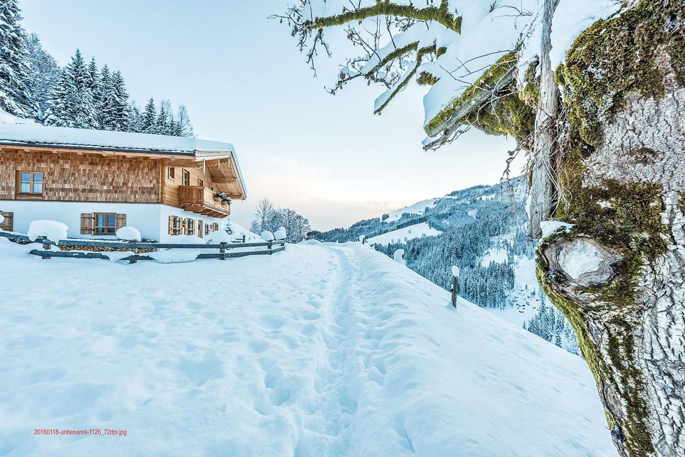 Almliesl Leog-494 in Leogang, Saalbach-Hinterglemm