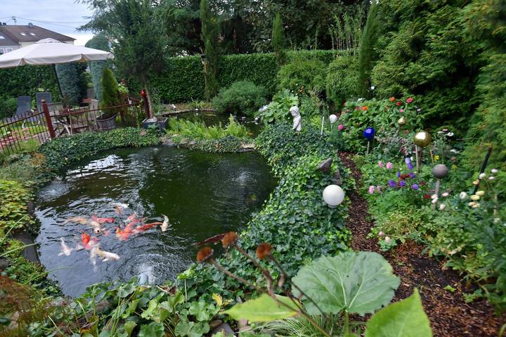 Ganze Ferienwohnung, Appartement/Fewo, Dusche, Wc, 1 Schlafraum in Saarlouis, Mosel-Saar