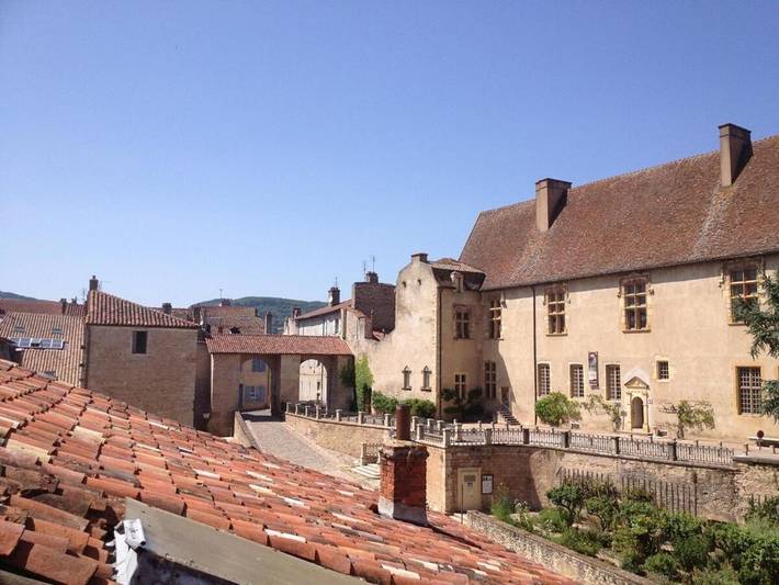 Location de vacances pour 7 personnes, animaux acceptés dans Abbaye Benedictine De Cluny - 3