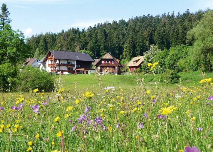 Ferienwohnung für 2 Personen, mit Garten und Ausblick in Freudenstadt