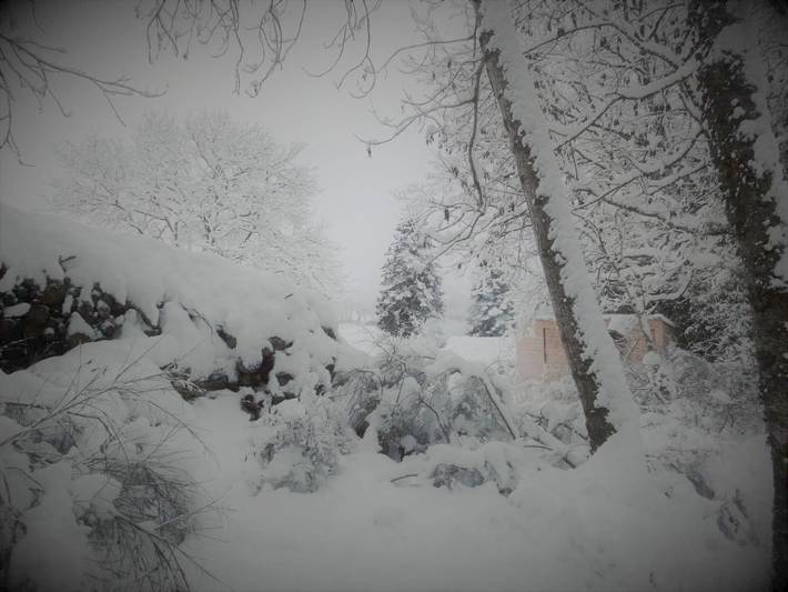 Location de vacances pour 2 personnes, avec vue et jardin à Saint-Germain-du-Teil - 2