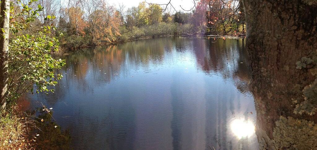Ganze Wohnung, Der Pond House in der Nähe von Charlottesville in Albemarle County