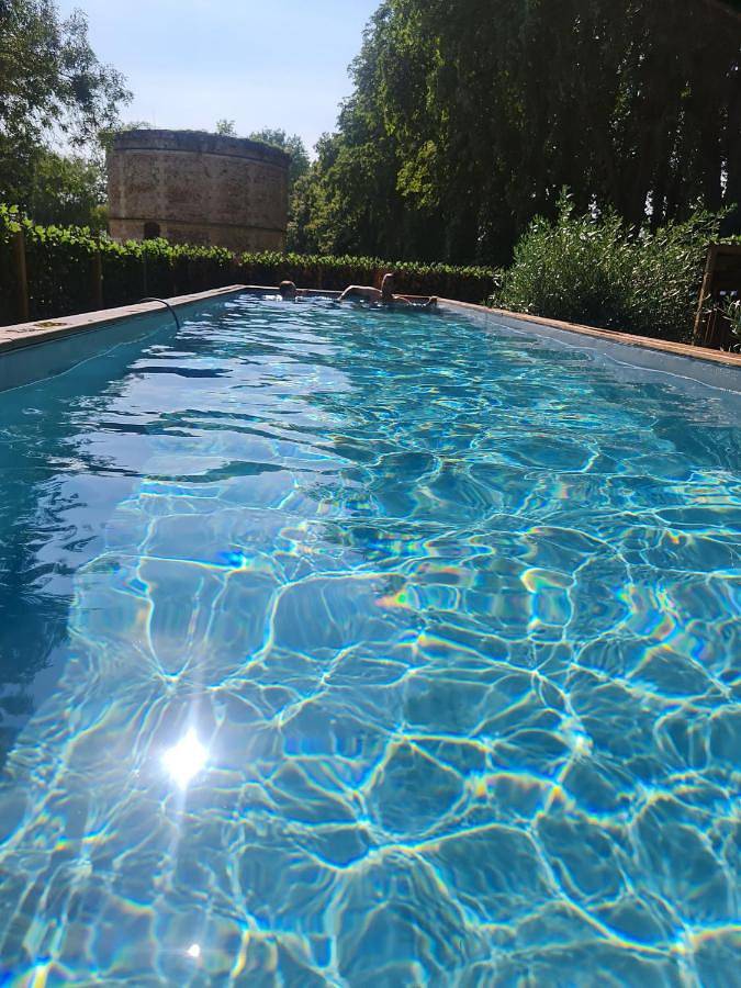 Location de vacances pour 17 personnes, avec jardin et piscine, animaux acceptés à Vernou-sur-Brenne - 2