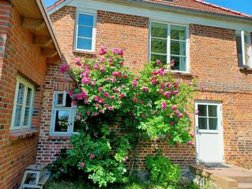 Ferienwohnung für 9 Personen in Vieregge, Neuenkirchen (Rügen), Bild 1