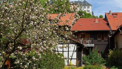 Ferienhaus für 10 Personen, mit Garten in Stolberg (Südharz)