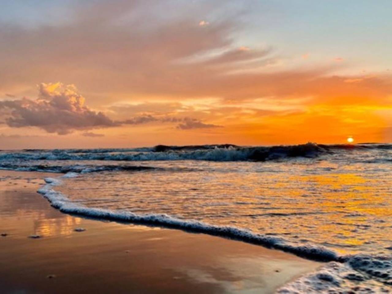 Ganze Wohnung, Bella - Bella 100.1 in Noordwijk aan Zee, Noordwijk