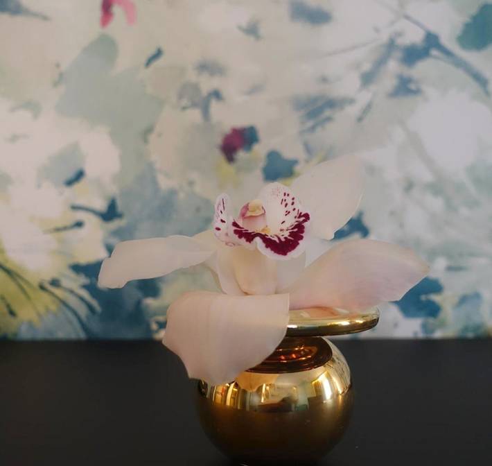 Hôtel pour 2 personnes, avec terrasse dans Svolvær - 4