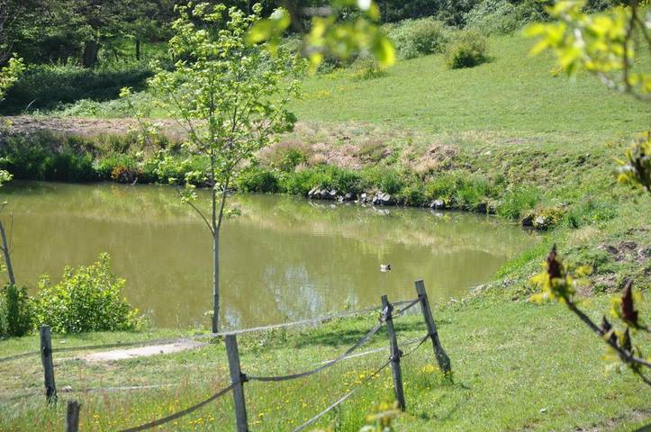 Location de vacances pour 2 personnes, avec jardin ainsi que vue sur le lac et vue à Pollionnay