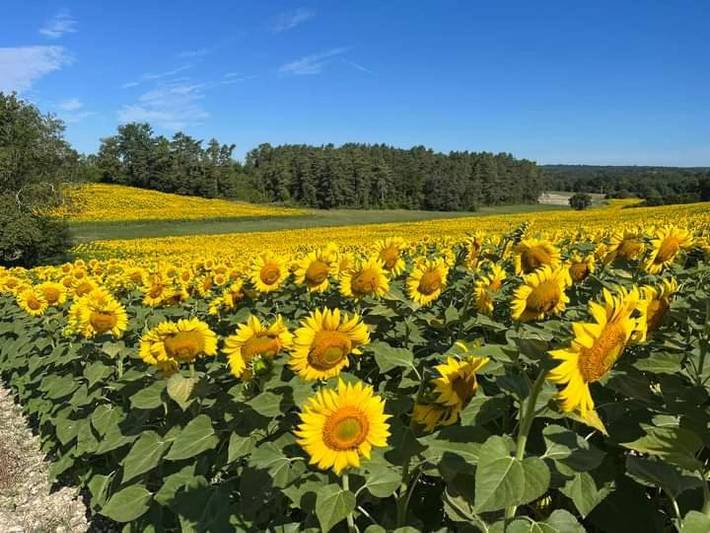 Location de vacances pour 5 personnes, avec vue à Valeuil - 3