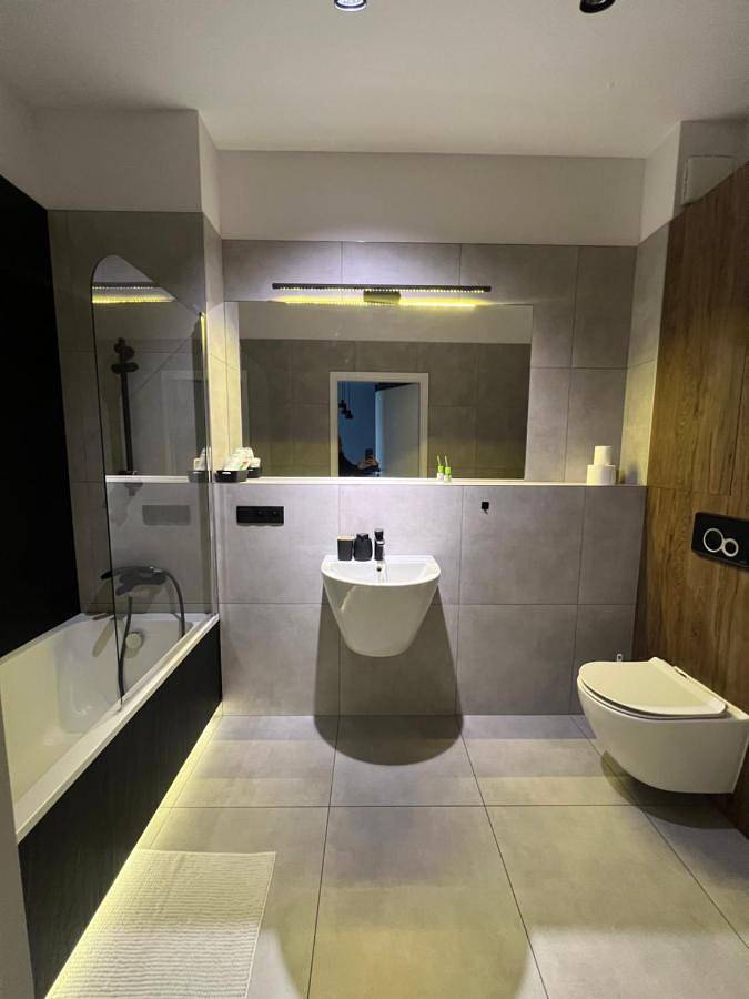 Cały apartament, One-Bedroom Apartment in Dąbrowa Górnicza, Śląsk