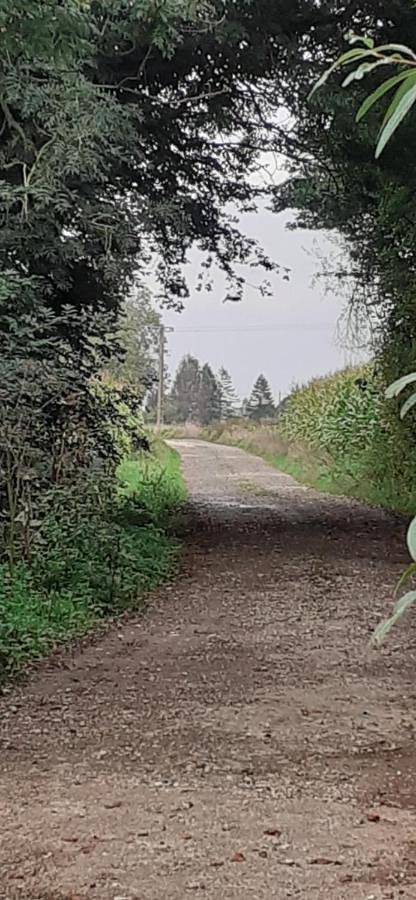 Location de vacances pour 13 personnes, avec jardin ainsi que jacuzzi et sauna à Wavrans-sur-l'Aa - 3