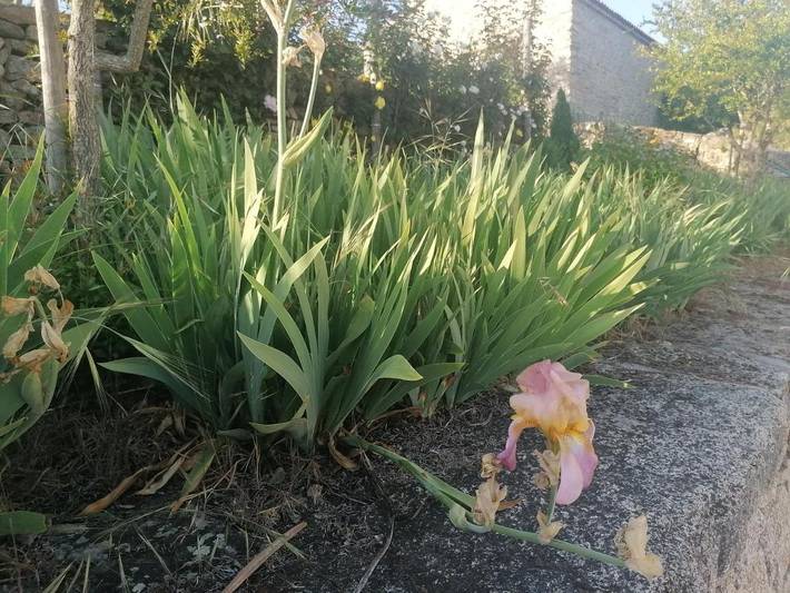 Location de vacances pour 4 personnes, avec vue ainsi que jardin et vue sur le lac dans Boticas - 4
