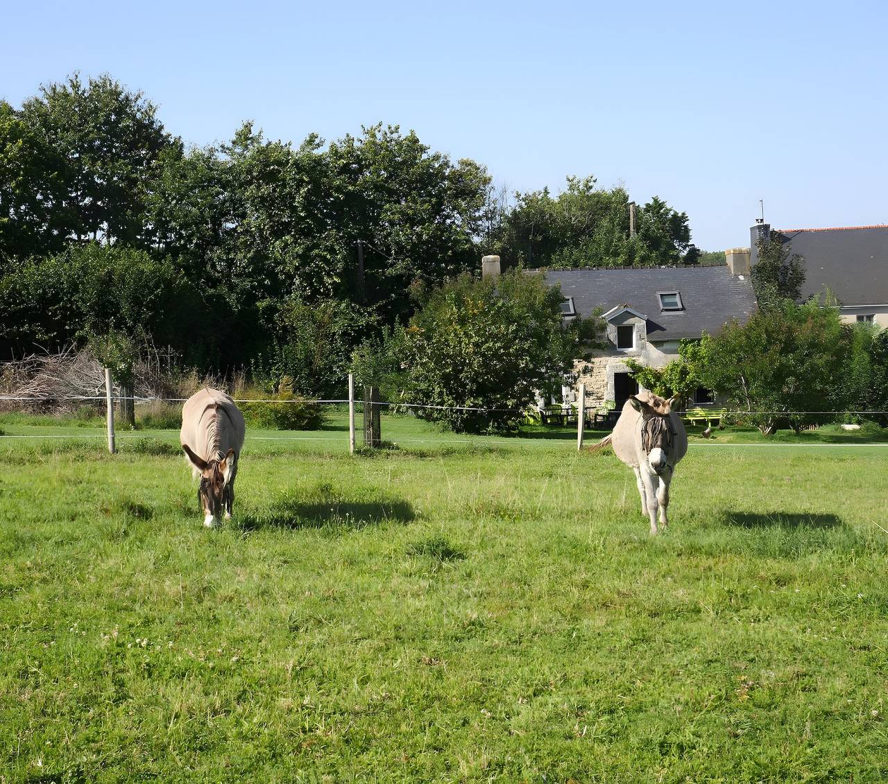 Gîte le Penn-ty Sud Finistère in Rosporden, Région de Quimper