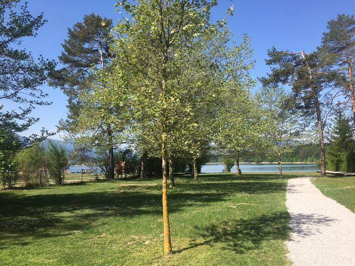 Ferienwohnung für 3 Personen, mit Balkon und Garten, kinderfreundlich in Finkenstein am Faaker See - 4