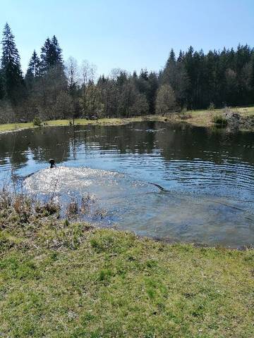 Ferienhaus für 8 Personen in Bayerisch Eisenstein, Ostbayern, Bild 4