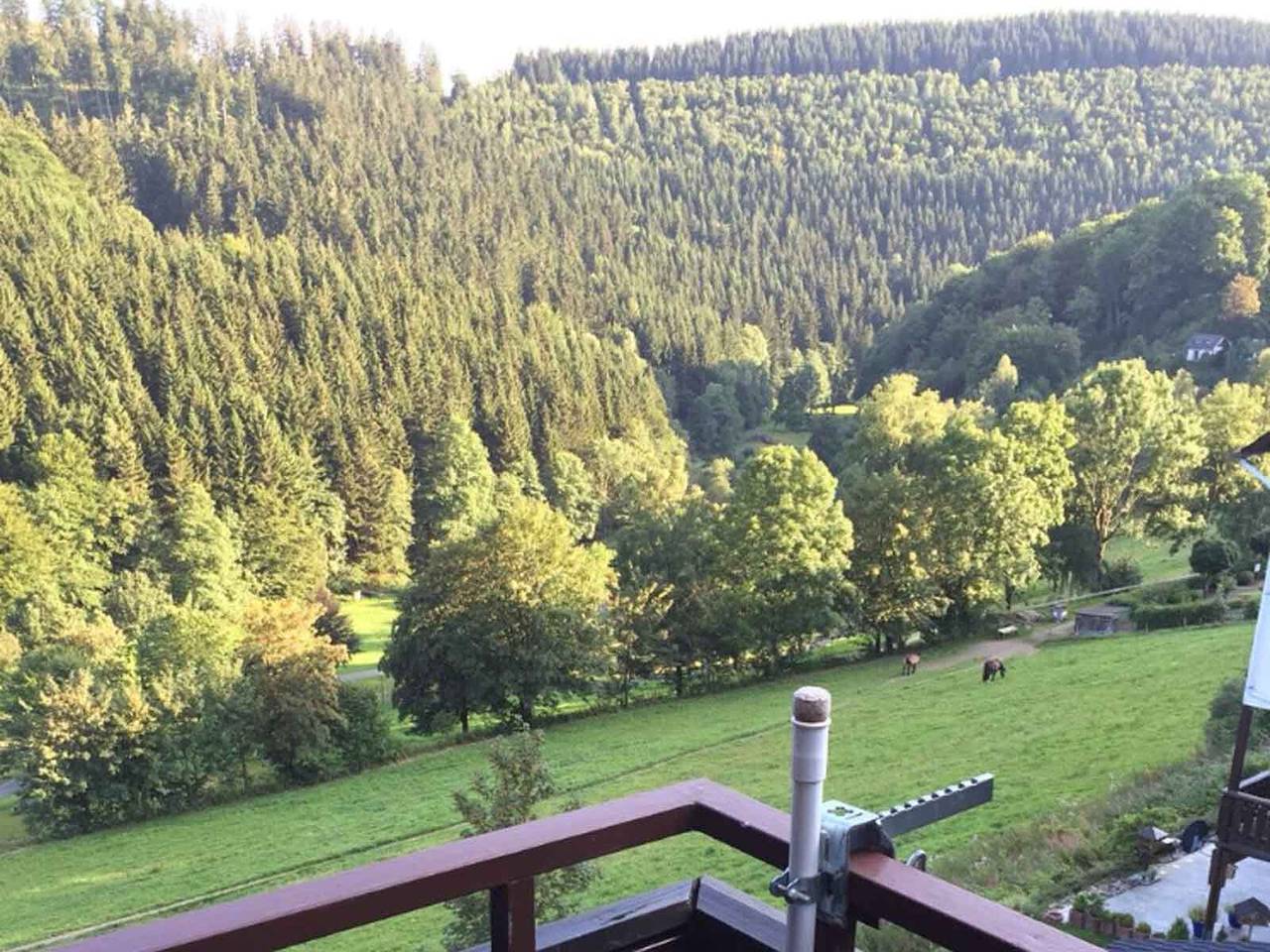 Ferienwohnung Nordenau - Ferienwohnung Nordenau in Nordenau, Schmallenberg