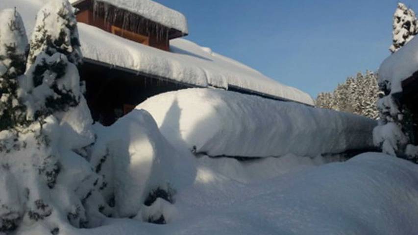 Ferienwohnung für 8 Personen, mit Garten in Doren
