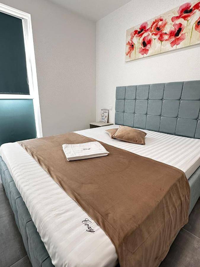 Gîte pour 4 personnes, avec vue et jardin dans Mureș - 4
