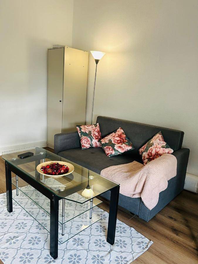 Gîte pour 3 personnes à Choisy-le-Roi - 3