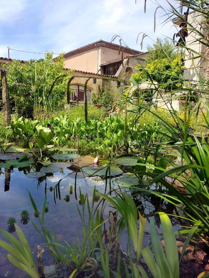 Location de vacances pour 6 personnes, avec jardin à Noailhac (Tarn) - 3