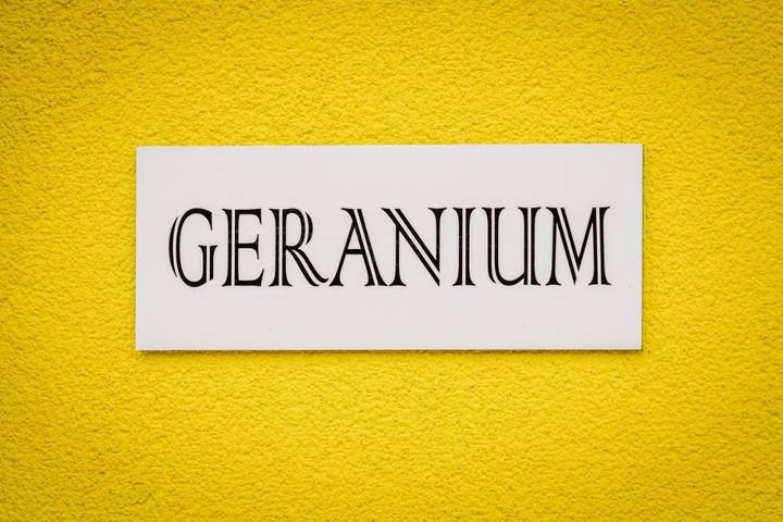 Gîte pour 6 personnes, avec vue et sauna ainsi que piscine et terrasse dans Porte-du-Ried - 4