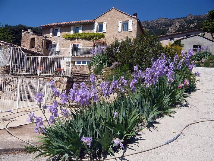 Gîte pour 10 personnes, avec terrasse ainsi que jardin et piscine dans l' Hérault - 2