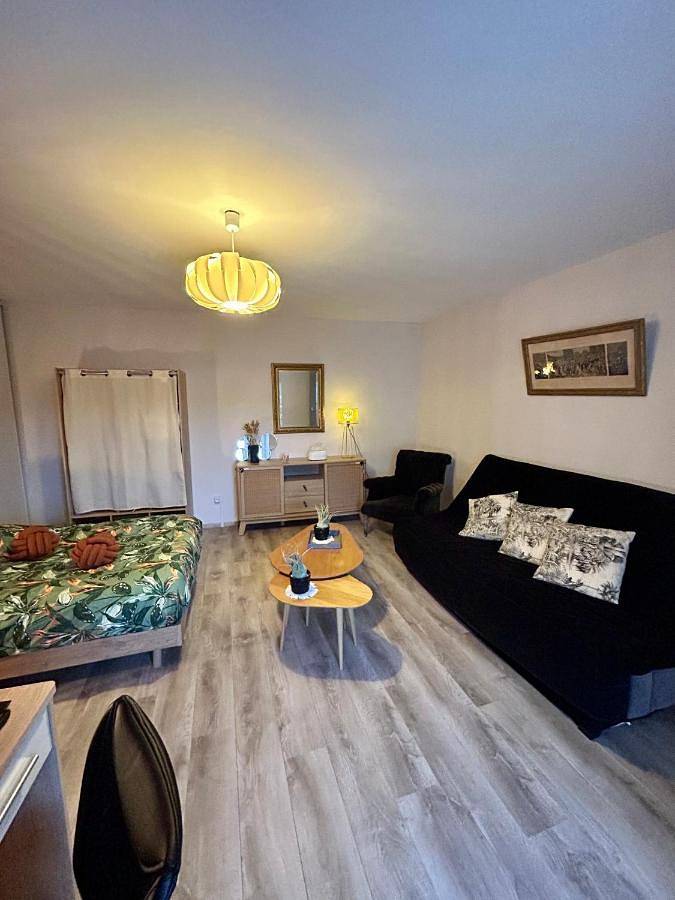 Appartement entier, One-Bedroom Apartment in Chaumont, Haute-Marne