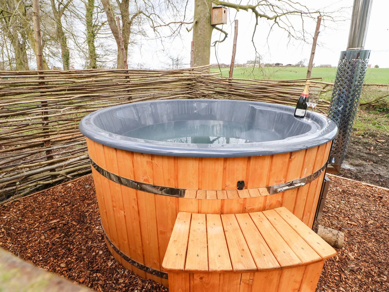 Bracken Fern in North Yorkshire