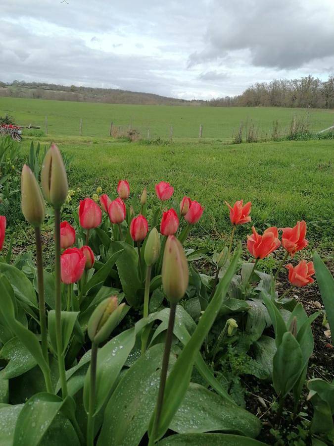 Chambre d’hôte pour 2 personnes, avec vue ainsi que jardin et piscine, animaux acceptés dans Allier - 2