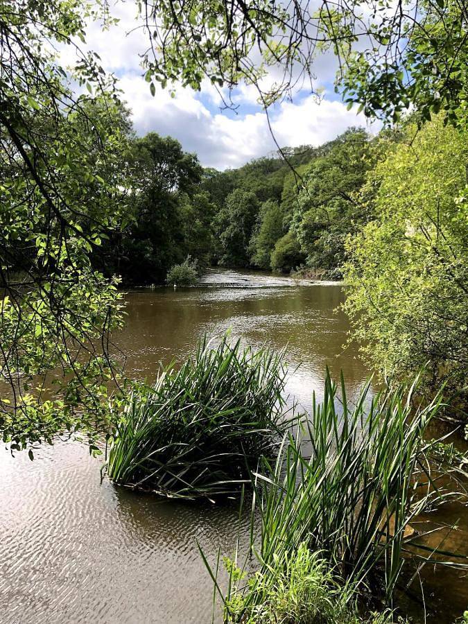 Location de vacances pour 8 personnes, avec balcon ainsi que jardin et vue à Mortagne-sur-Sèvre