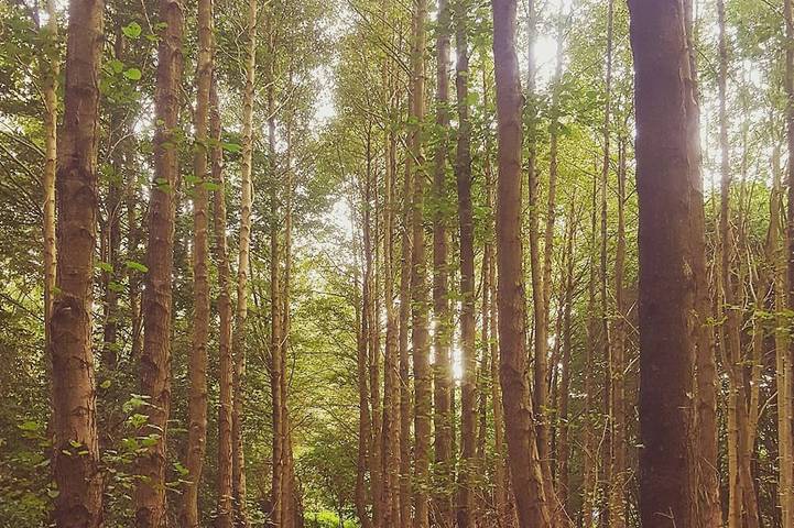 Vacation rental for 99 people, with yard, with pets in Essex