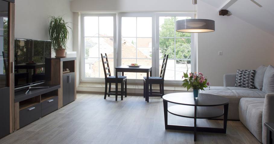 Ferienwohnung für 4 Personen, mit Balkon, mit Haustier in Sächsisches Burgen- und Heideland - 4