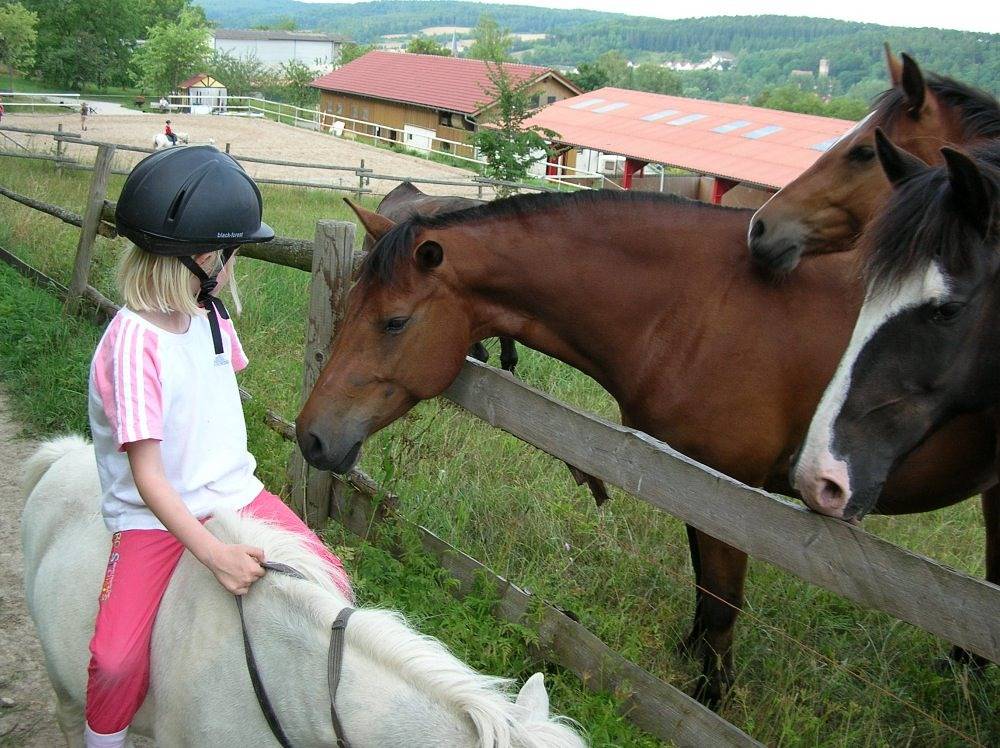Ferienhof Pfeiffer - Fuchsbau in Buchen, Neckar-Odenwald-Kreis